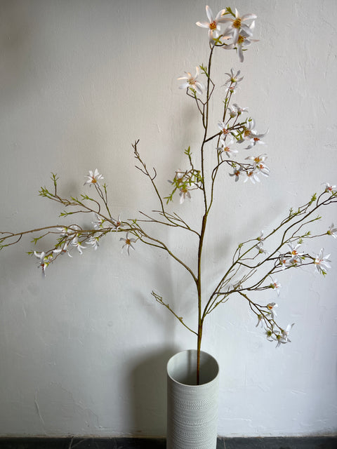 Forsythia tak wit 150 cm