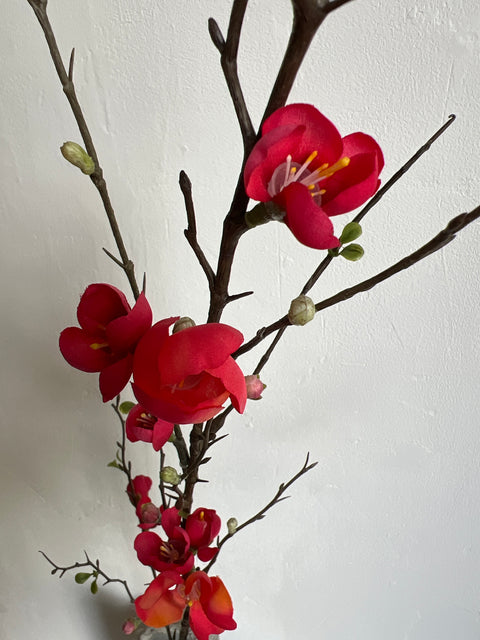 Quince blossom tak 125 cm coral