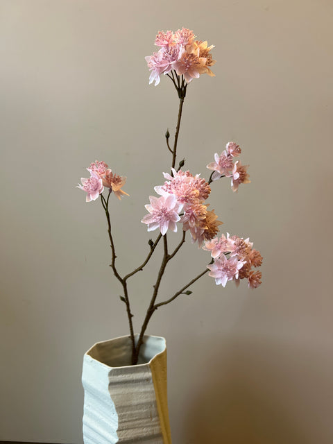 Zeeuws knoopje tak zacht roze 70 cm