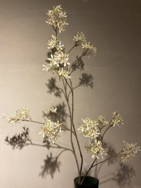 Krenten bloesem tak  154 cm green