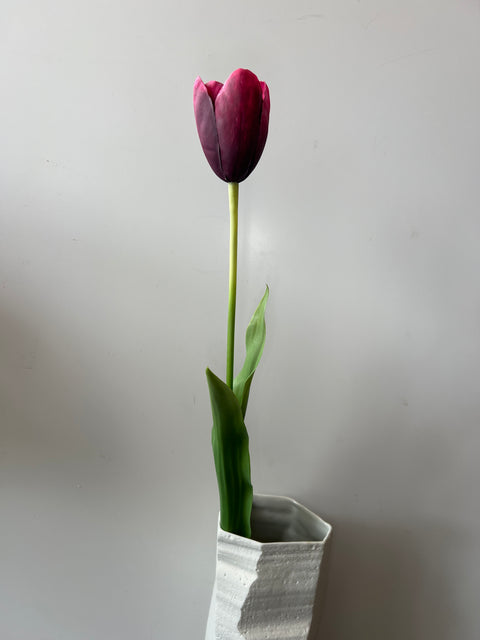 Tulp steel bordeaux/rood 82 cm