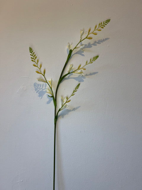 Montbretia tak 93cm wit/groen