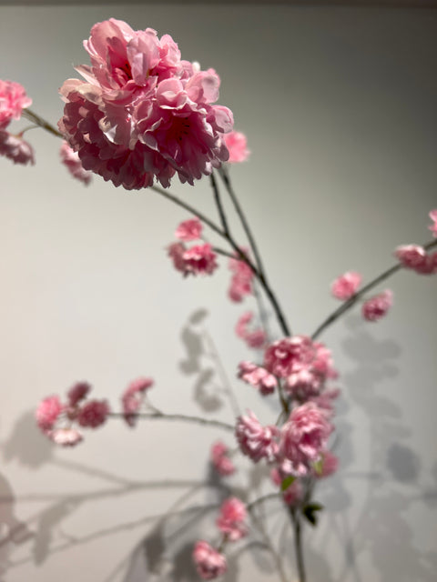 Japanse kersen bloesem pink 164 cm