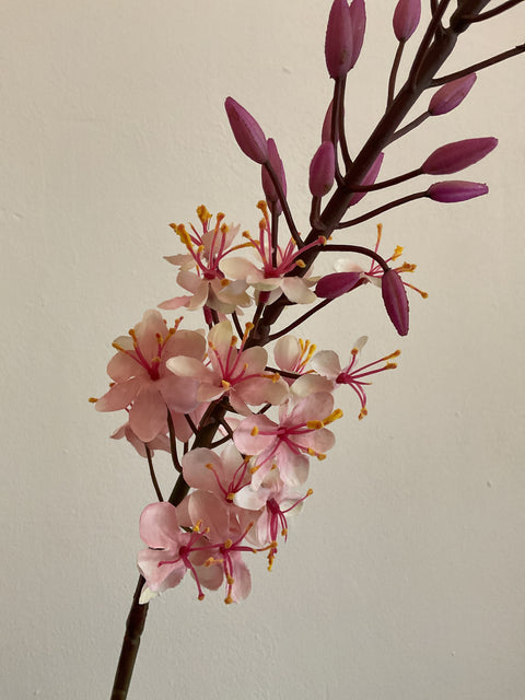 Eremurus steel roze 107 cm