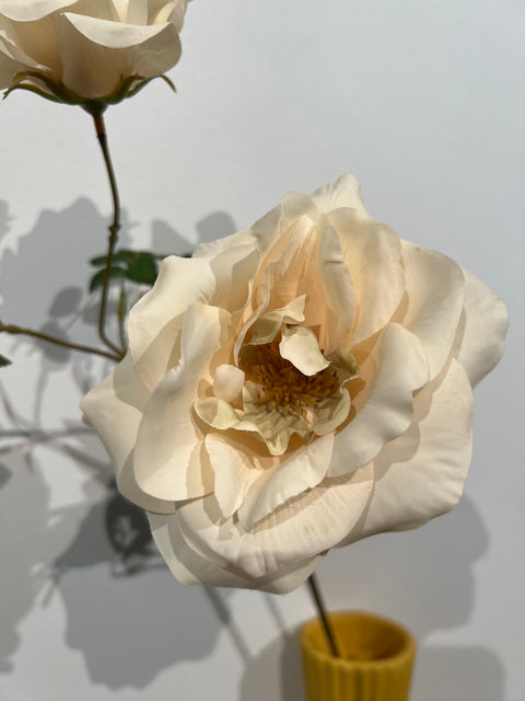 Roos spray vanille 65 cm