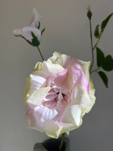 Roos liza spray x3  purple  80 cm