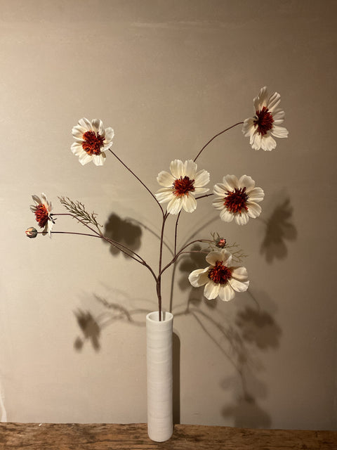 Cosmos spray 92 cm cream