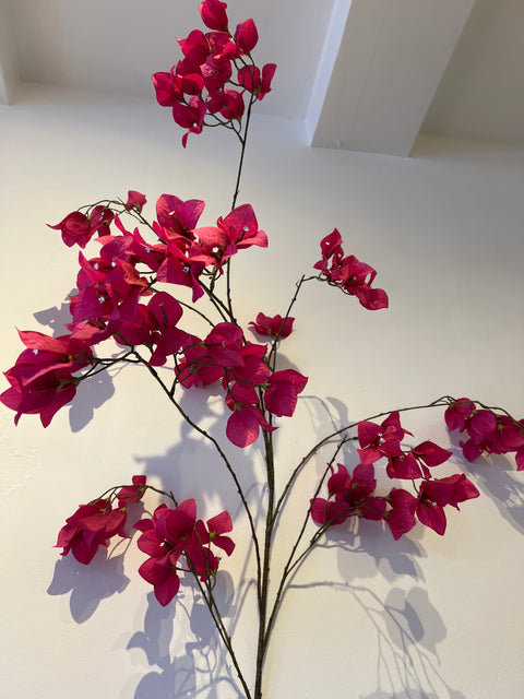 Bougainville tak fuchsia 175 cm
