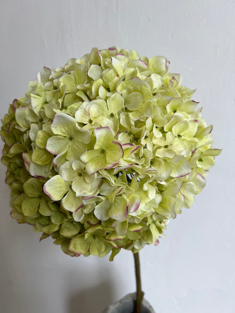 Hortensia steel groot groen/wit/roze 79 cm