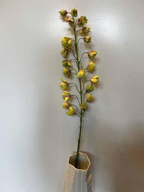 Fritillaria steel bruin/groen 111 cm