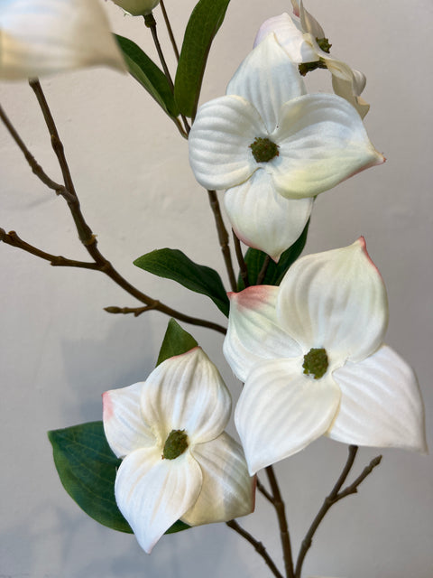 Kornoelje tak wit 68 cm