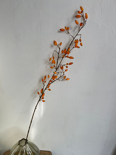 Rozenbottel tak 110cm licht oranje bottels