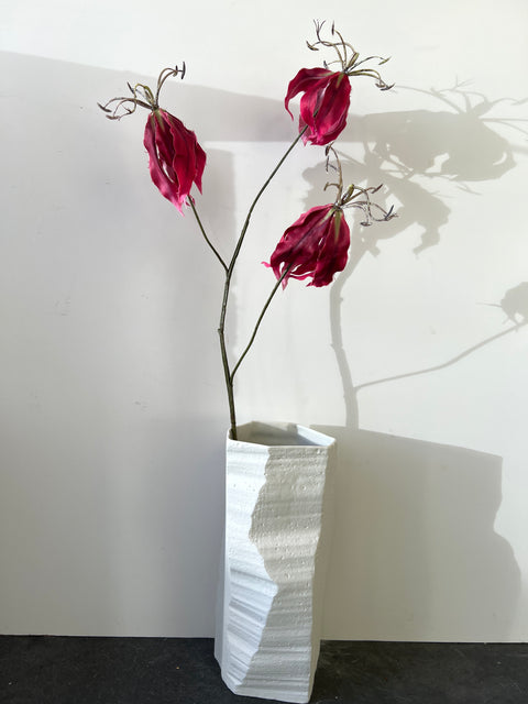 Gloriosa tak donker rood 80 cm