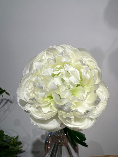 Ranonkel spray Flaine wit  55 cm