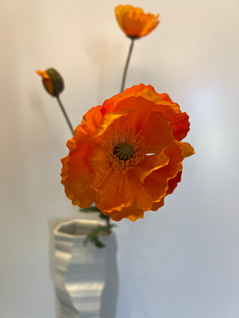 Papaver spray oranje 75 cm