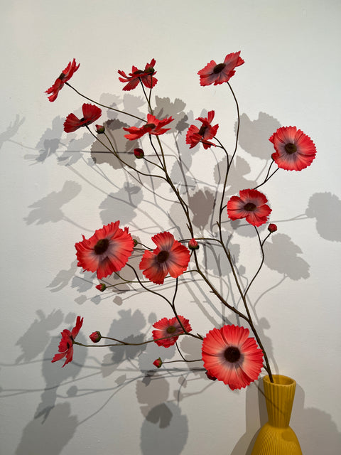 Cosmos spray red 124 cm