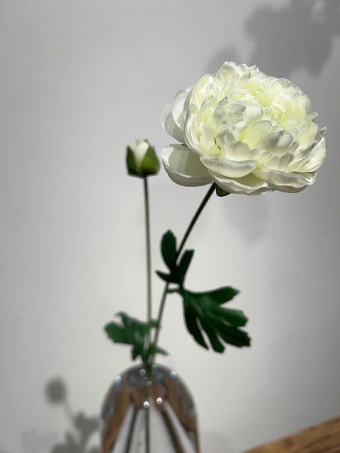 Ranonkel spray Flaine wit  55 cm