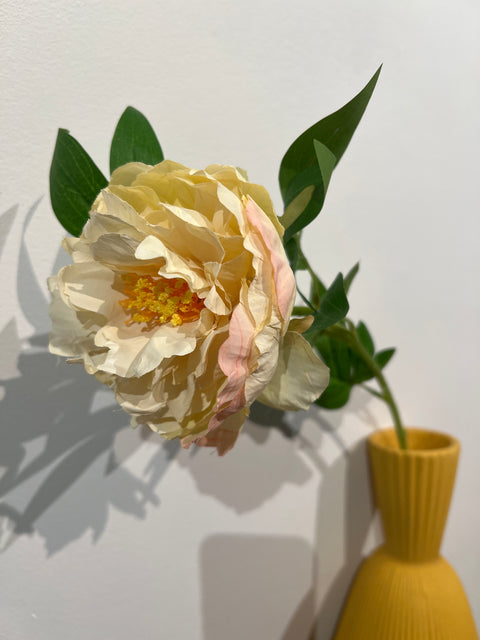 Pioenroos peach 65 cm