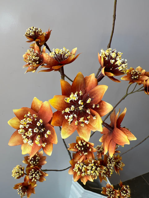 Zeeuws knoopje groot oranje 119 cm