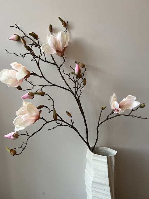 Magnolia tak wit/roze 107 cm