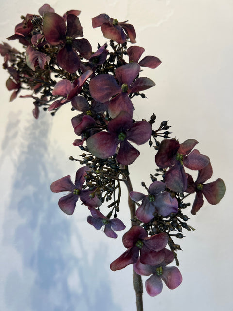Hortensia lang bordeaux 90 cm