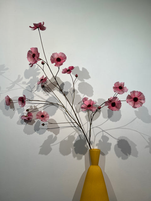 Cosmos spray mauve 124 cm