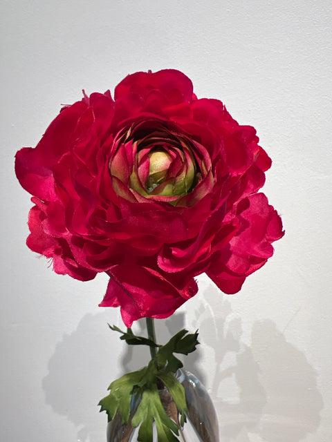 Ranonkel  51 cm donker roze