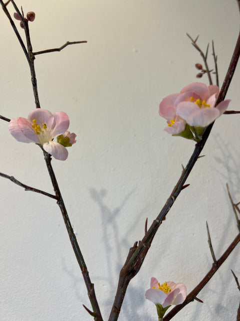 Bloesem tak roze 121 cm