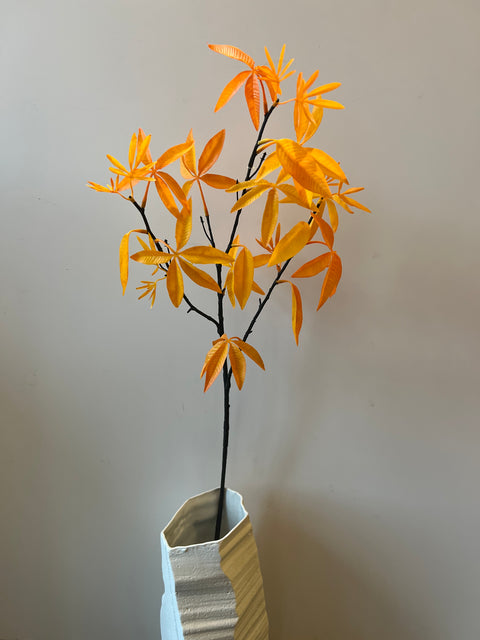 Esdoorn tak geel 80 cm