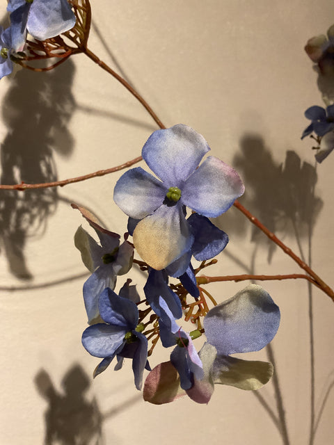 Hortensia tak 115 cm blue