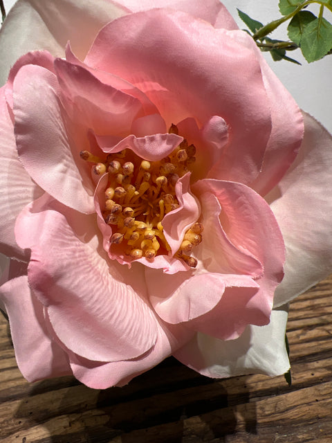 Roos spray open  pink  64 cm