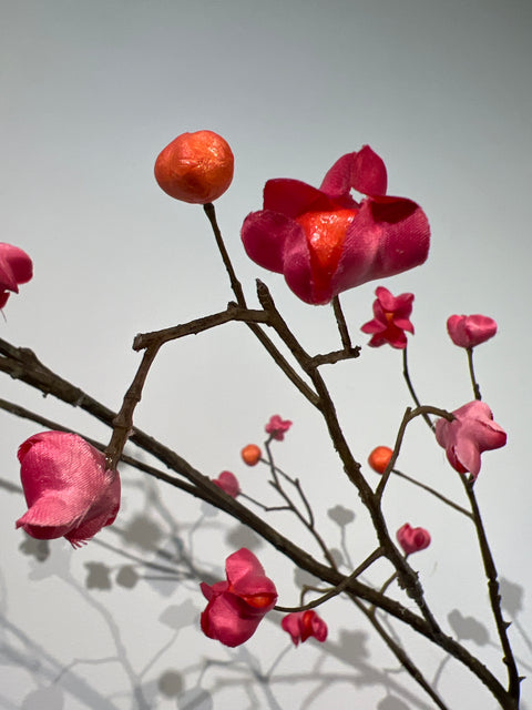 Kardinaalsmuts  oranje/roze  167 cm