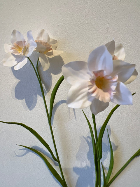 Narcis spray poeder roze 62 cm