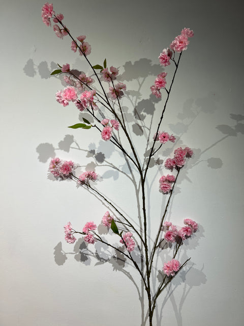 Japanse kersen bloesem pink 164 cm