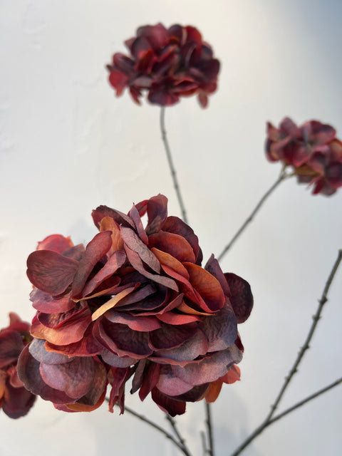 Hortensia spray x 6 bordeaux 100 cm