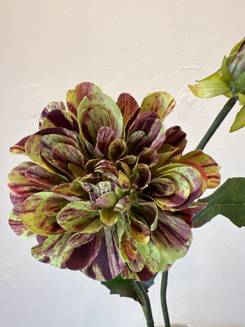 Dahlia bloem + klein groen 49 cm
