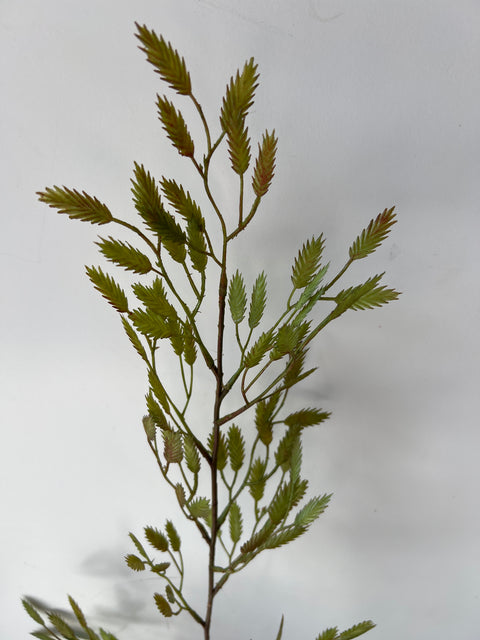 Gras tril tak groen 98 cm
