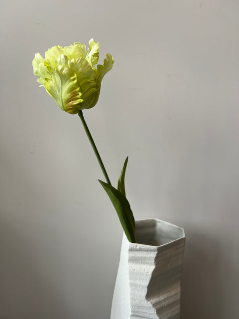 Tulp papagaai groen 66 cm