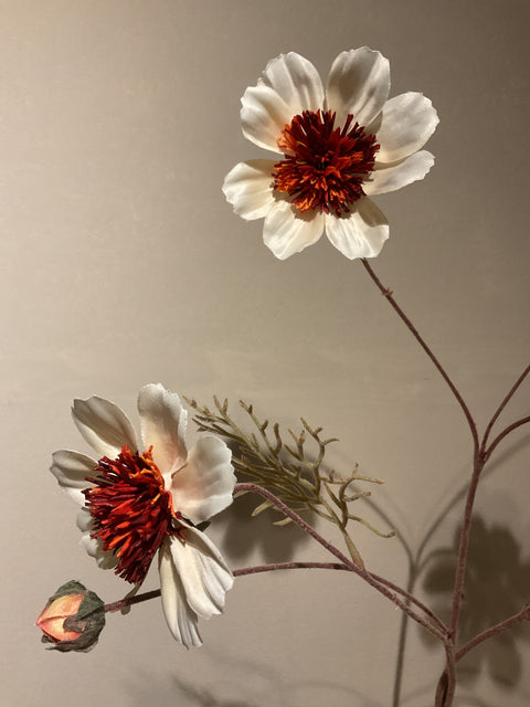 Cosmos spray 92 cm cream