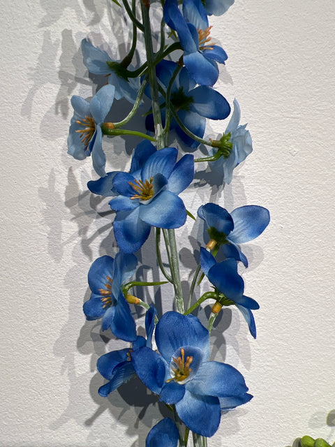 Delphinium  blauw  79 cm