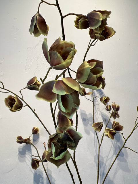 Fritillaria tak bruin/groen 123 cm