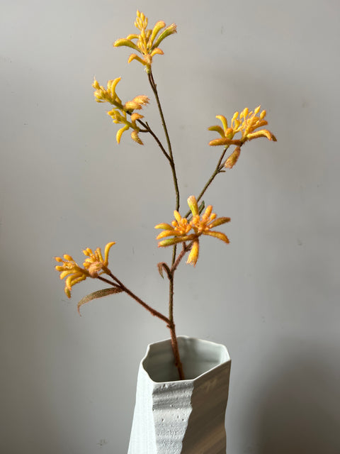 Kangoeroepoot tak geel 76 cm