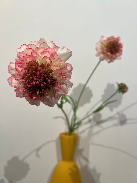 Scabiosa spray pink/wit 66 cm
