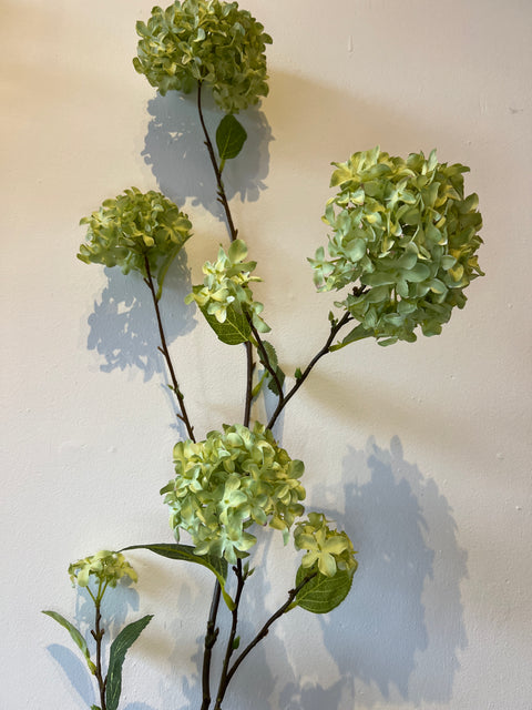 Hortensia tak x7 127 cm groen