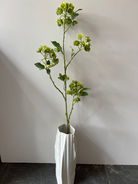 Helleborus groen 100 cm