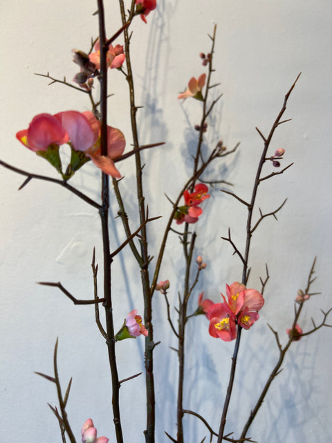 Bloesem tak groot roze 154 cm