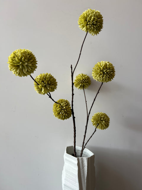 Plataan spray x7 licht groen 98 cm