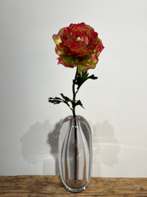 Ranonkel  51 cm roze/groen