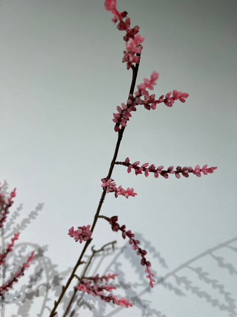 Wilgentak dark pink 128 cm