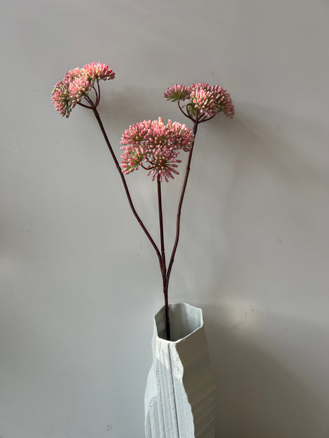 Engelwortel tak 3x roze 83 cm